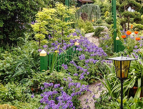 Rösch Gartengestaltung Achern Abbildung Ziergarten