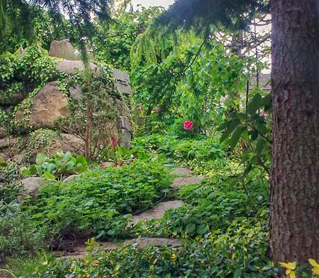 Abbildung Rösch Gartengestaltung Mustergarten