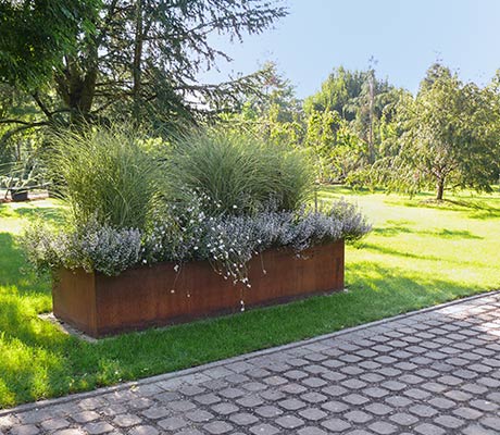 Abbildung Rösch Gartengestaltung Bepflanzung